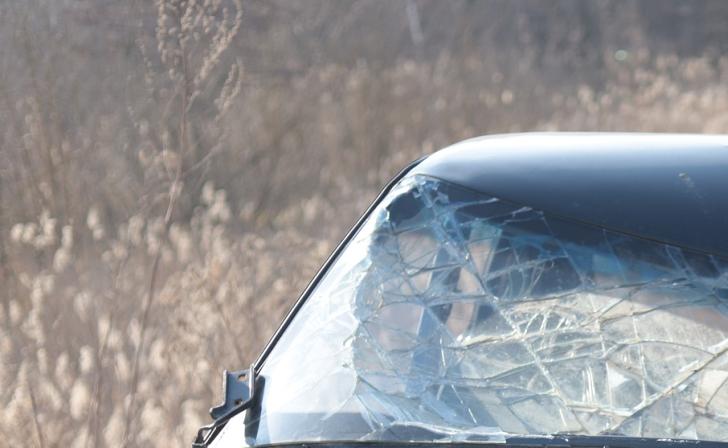 В Белгородской области во время атаки дрона-камикадзе пострадали 5 человек В Белгородской области во время атаки дрона-камикадзе пострадали 5 человек