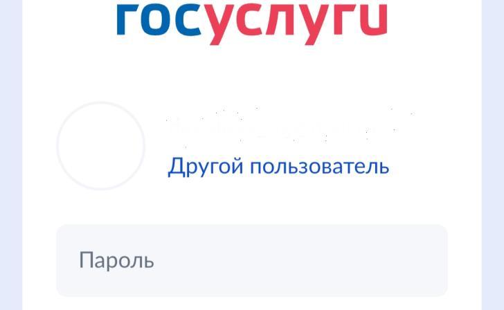 На Госуслугах появились сервисы для помощи жителям Курской области На Госуслугах появились сервисы для помощи жителям Курской области