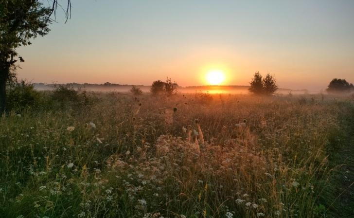 В Курской области появился памятник природы «Урочище Суходол у села Песчаное» В Курской области появился памятник природы «Урочище Суходол у села Песчаное»