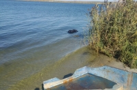 Курская область. В Курчатовском море обнаружили труп мужчины