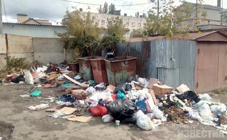 Мусорная реформа в Курске: год спустя Мусорная реформа в Курске: год спустя