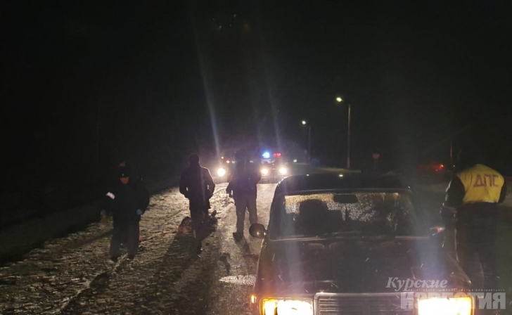 В Курской области автолюбительница насмерть сбила пешехода В Курской области автолюбительница насмерть сбила пешехода