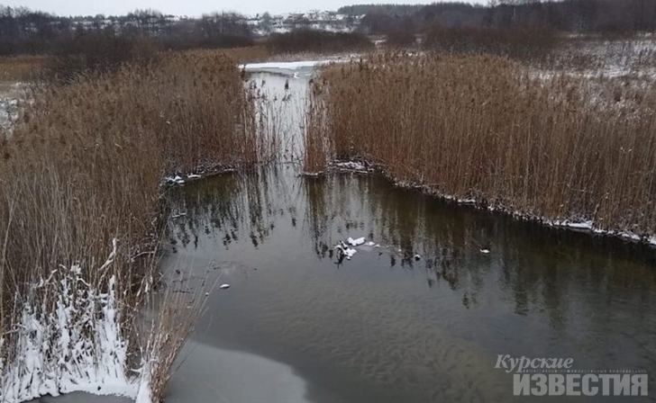 В Курской области случайно обнаружили незаконное использование водоёма В Курской области случайно обнаружили незаконное использование водоёма