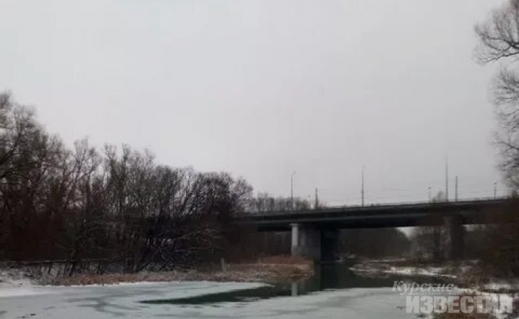 Мужчина, спрыгнувший с моста в Курске: «Хотел переосмыслить жизнь» Мужчина, спрыгнувший с моста в Курске: «Хотел переосмыслить жизнь»