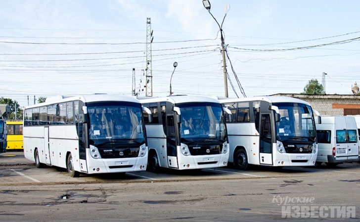 В Белгородской области приостановили автобусное сообщение с Курской и Воронежской областями В Белгородской области приостановили автобусное сообщение с Курской и Воронежской областями