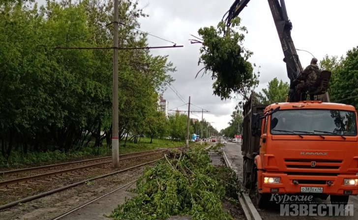 В Курске вырубают кусты и косят траву В Курске вырубают кусты и косят траву