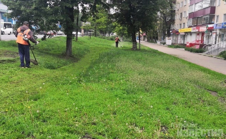 В Курске планируют скосить больше 4 миллионов квадратных метров травы В Курске планируют скосить больше 4 миллионов квадратных метров травы