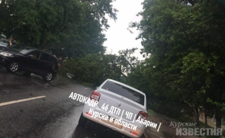 В Курске упавшее дерево перегородило проезжую часть на улице Красный Октябрь В Курске упавшее дерево перегородило проезжую часть на улице Красный Октябрь