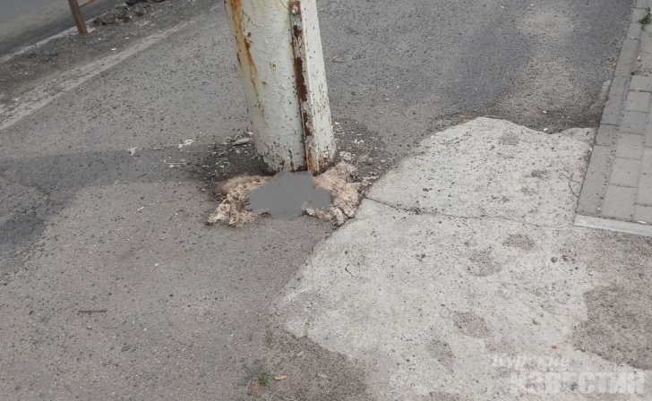 Дохлую кошку не убрали с тротуара после распоряжения мэра Курска Дохлую кошку не убрали с тротуара после распоряжения мэра Курска
