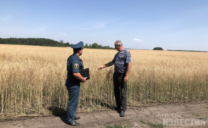 В Курской области за сутки произошло 25 пожаров В Курской области за сутки произошло 25 пожаров