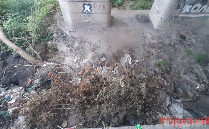 В Курске нашли свалку, которую убрали только на бумаге В Курске нашли свалку, которую убрали только на бумаге