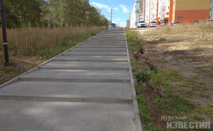 Куряне ходят к фермерскому рынку по дороге без пандусов Куряне ходят к фермерскому рынку по дороге без пандусов