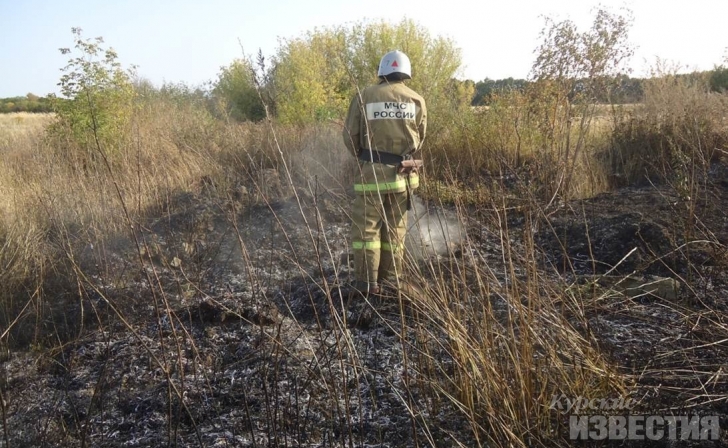 В Курской области женщина чуть не сгорела, сжигая траву на огороде В Курской области женщина чуть не сгорела, сжигая траву на огороде