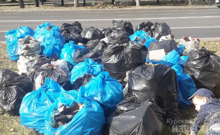 В Курске не хватает добровольцев, чтобы собрать весь мусор в лесу на Волокно В Курске не хватает добровольцев, чтобы собрать весь мусор в лесу на Волокно