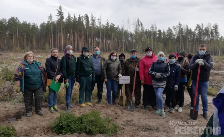 Акция «Сохраним лес» прошла в Железногорске Курской области Акция «Сохраним лес» прошла в Железногорске Курской области
