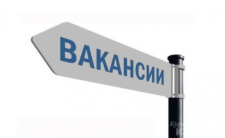 Курянам предлагают 11,5 тысяч свободных вакансий Курянам предлагают 11,5 тысяч свободных вакансий