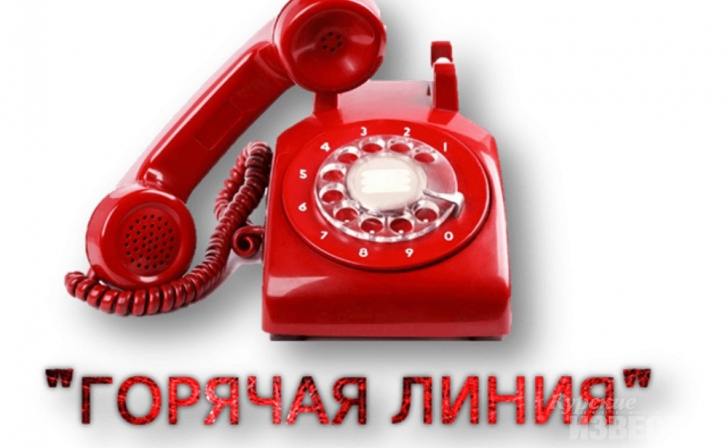 В Курской области открыта горячая линия по качеству молочных продуктов В Курской области открыта горячая линия по качеству молочных продуктов