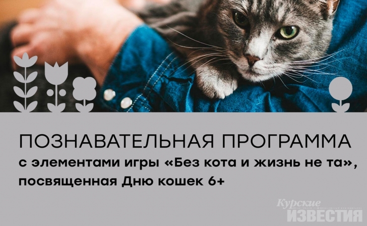 Курян приглашают на программу «Без кота и жизнь не та» Курян приглашают на программу «Без кота и жизнь не та»
