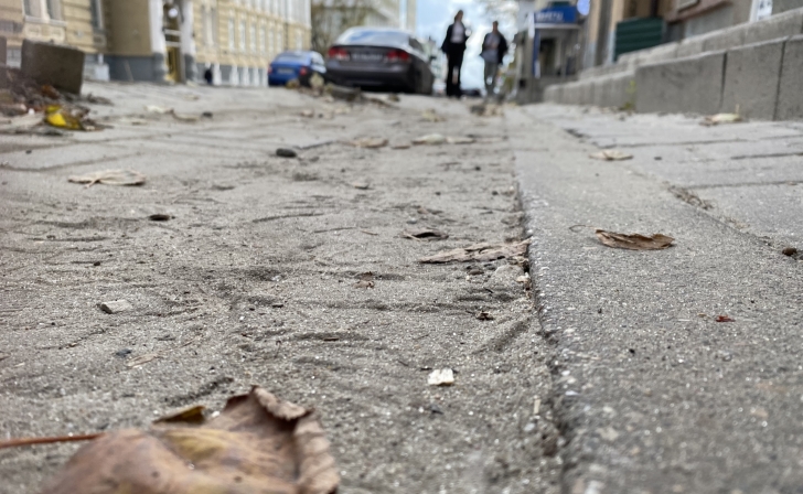 каток на театральной площади курск. митинг курск. тигр дед мороз. новогодний лес картинки. зимний лес курск красная площадь.