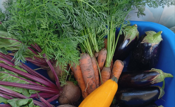 В Курске 1 августа будет переменная облачность и местами пройдут дожди