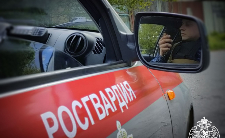 За неделю курские росгвардейцы пресекли более 160 административных правонарушений