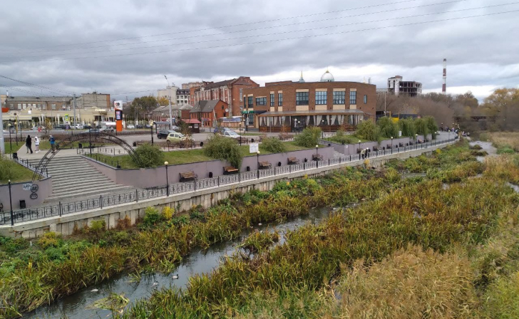 Куряне вновь жалуются на состояние реки Тускарь в районе Утиного острова Куряне вновь жалуются на состояние реки Тускарь в районе Утиного острова
