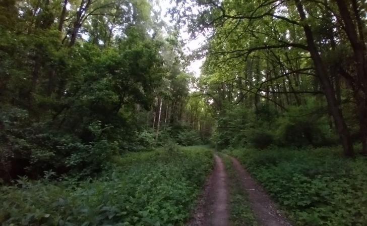 В Курской области сотрудники лесного надзора ведут профилактические рейды