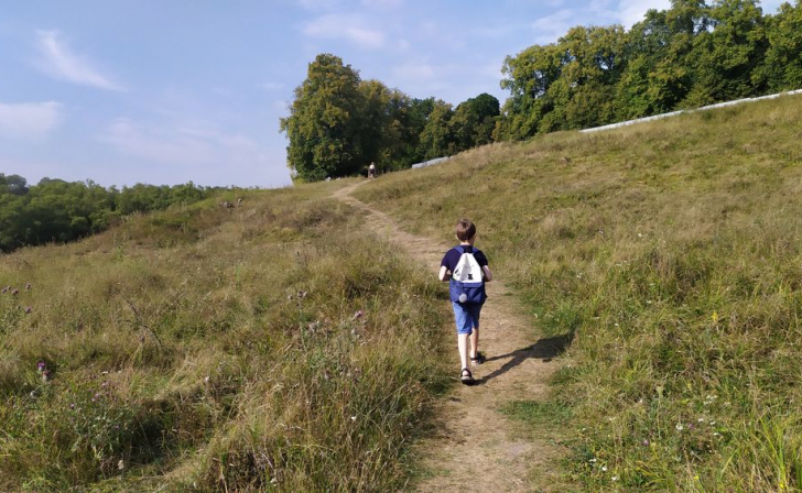 Более 2,5 тыс.школьников с родителями смогут бесплатно путешествовать по Курской области