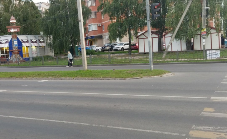 За неделю в Курской области 84 пешехода нарушили правила ПДД