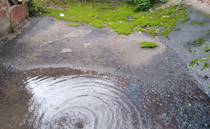 В Курской области 20 и 21 августа будет дождливо и тепло