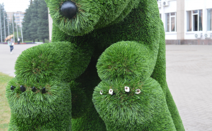 В Железногорске вандалы повредили топиарные фигуры перед администрацией