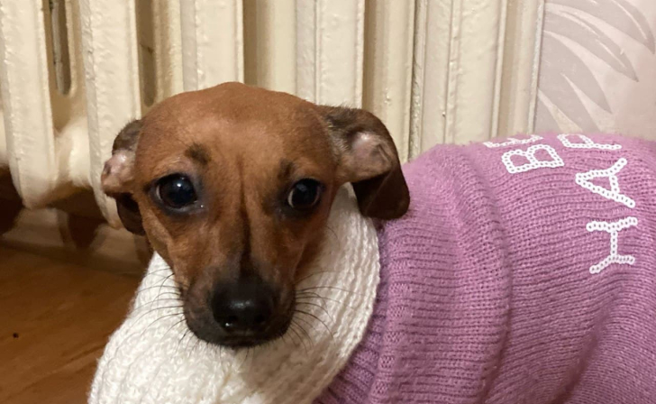 Курская область готова к отопительному сезону на 82%