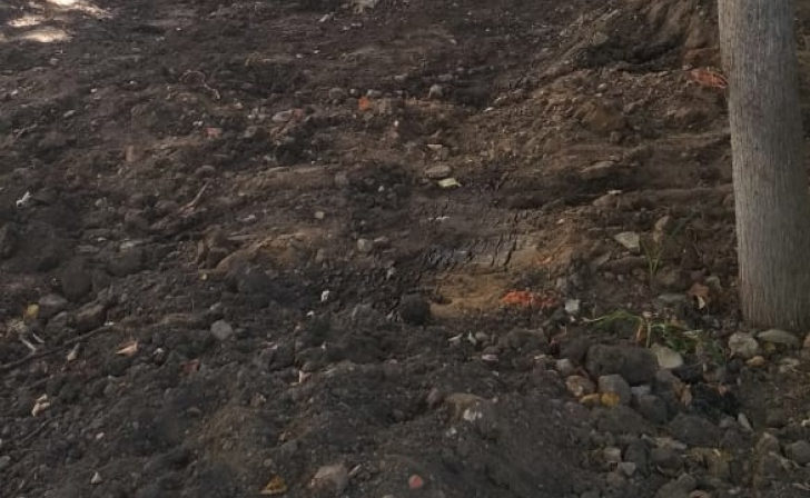 В Щиграх дорожники «Терры» привели в порядок клумбы после публикации «Курских известий»