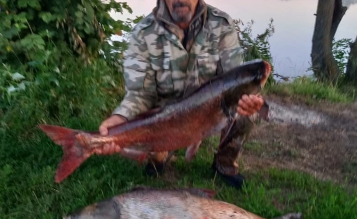 Житель Курской области поймал толстолобика весом 32,8 кг