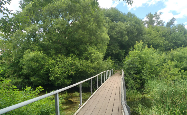 В Курской области 4 сентября будет облачно и до 19 тепла