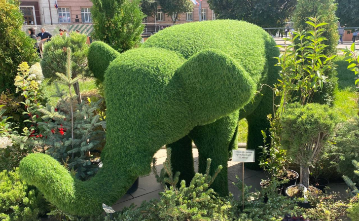 В Курске на Театральной площади открылась выставка ландшафтного дизайна