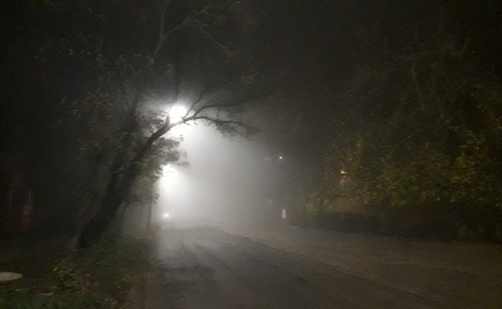 В Курской области ожидается облачная и туманная погода