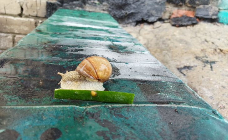 В Курской области 17 сентября пройдут кратковременные дожди