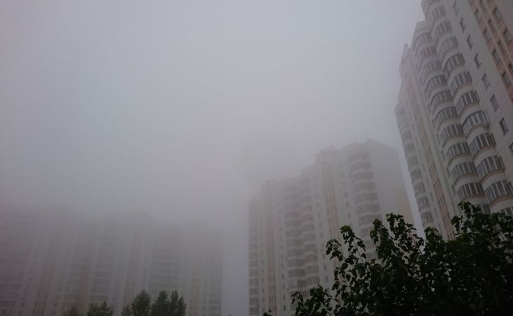 В Курской области ожидается туман