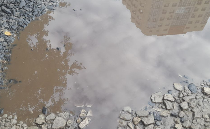 В Курской области ожидаются дожди и туман