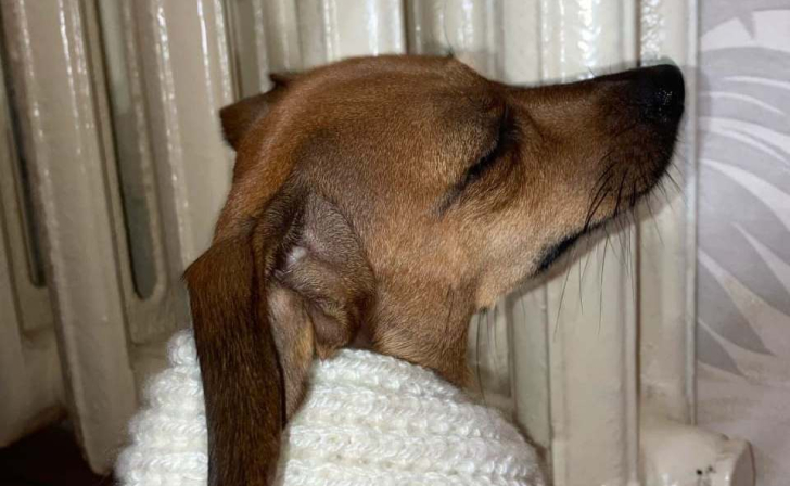 Город Курск готов к отопительному сезону на 96%