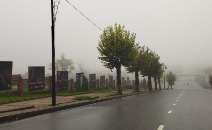 В Курске высадили более 1000 молодых деревьев