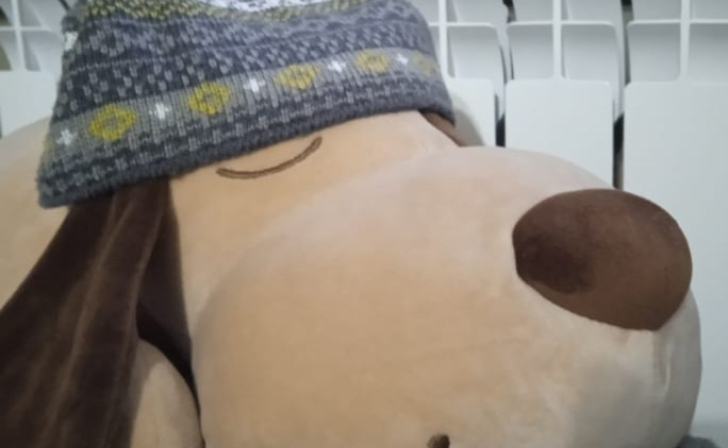 В Курской области прокуратура добилась обеспечения теплоснабжения многоквартирных домов В Курской области прокуратура добилась обеспечения теплоснабжения многоквартирных домов