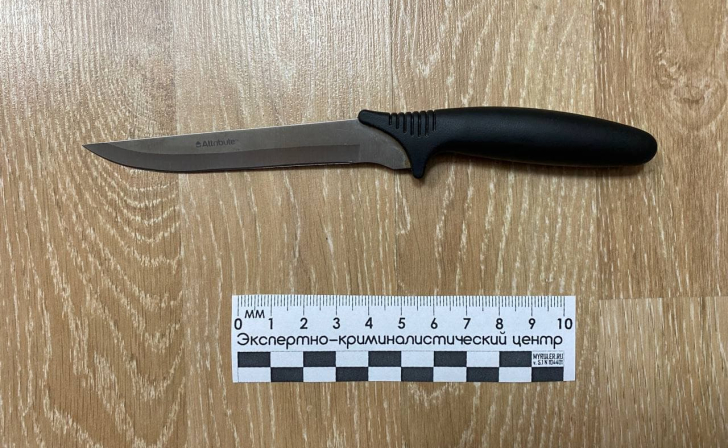 Жительницу Курской области будут судить за убийство знакомого