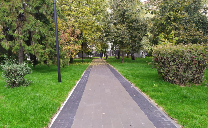 Курян 8 октября ожидает ясная и теплая погода