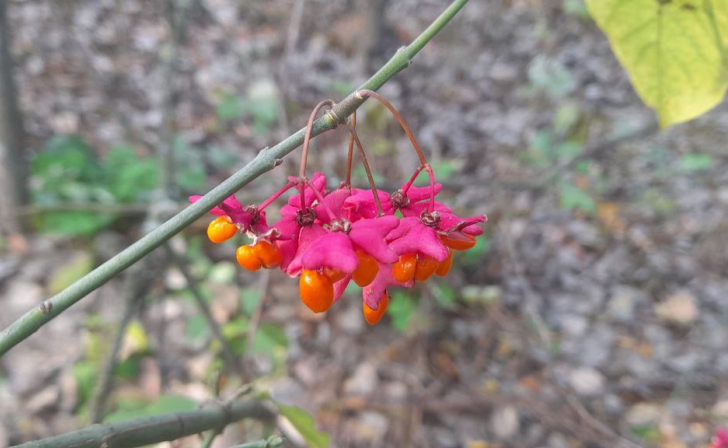 В Курске 11 октября будет пасмурная погода без дождей
