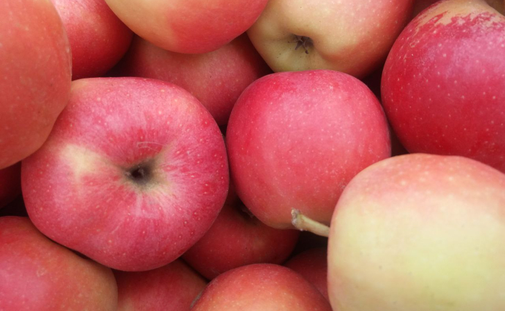 22 октября в Курске пройдет заключительная ярмарка «Осень-2022»