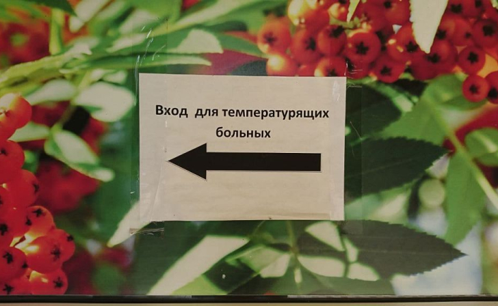 В Курской области число ежесуточных новых случаев ковида снизилось до 103