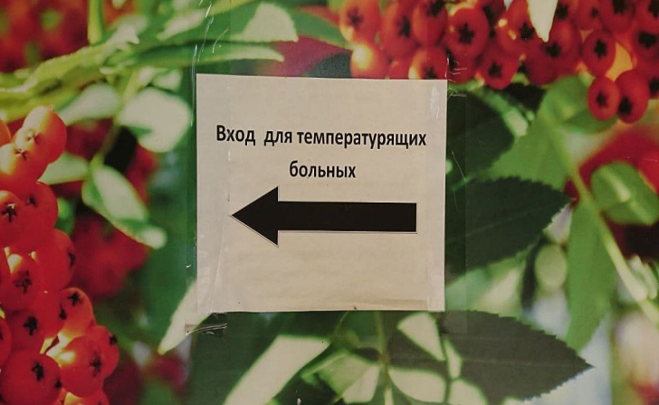 В Курской области за сутки выявили 67 новых случаев ковида