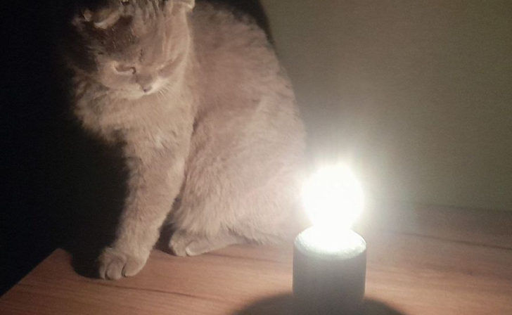 В Курске с 24 по 28 октября планируются отключения света в Железнодорожном округе В Курске с 24 по 28 октября планируются отключения света в Железнодорожном округе